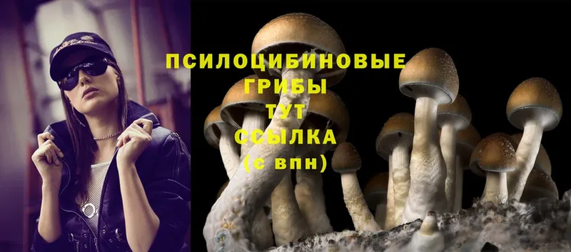 Галлюциногенные грибы MAGIC MUSHROOMS  Донской 